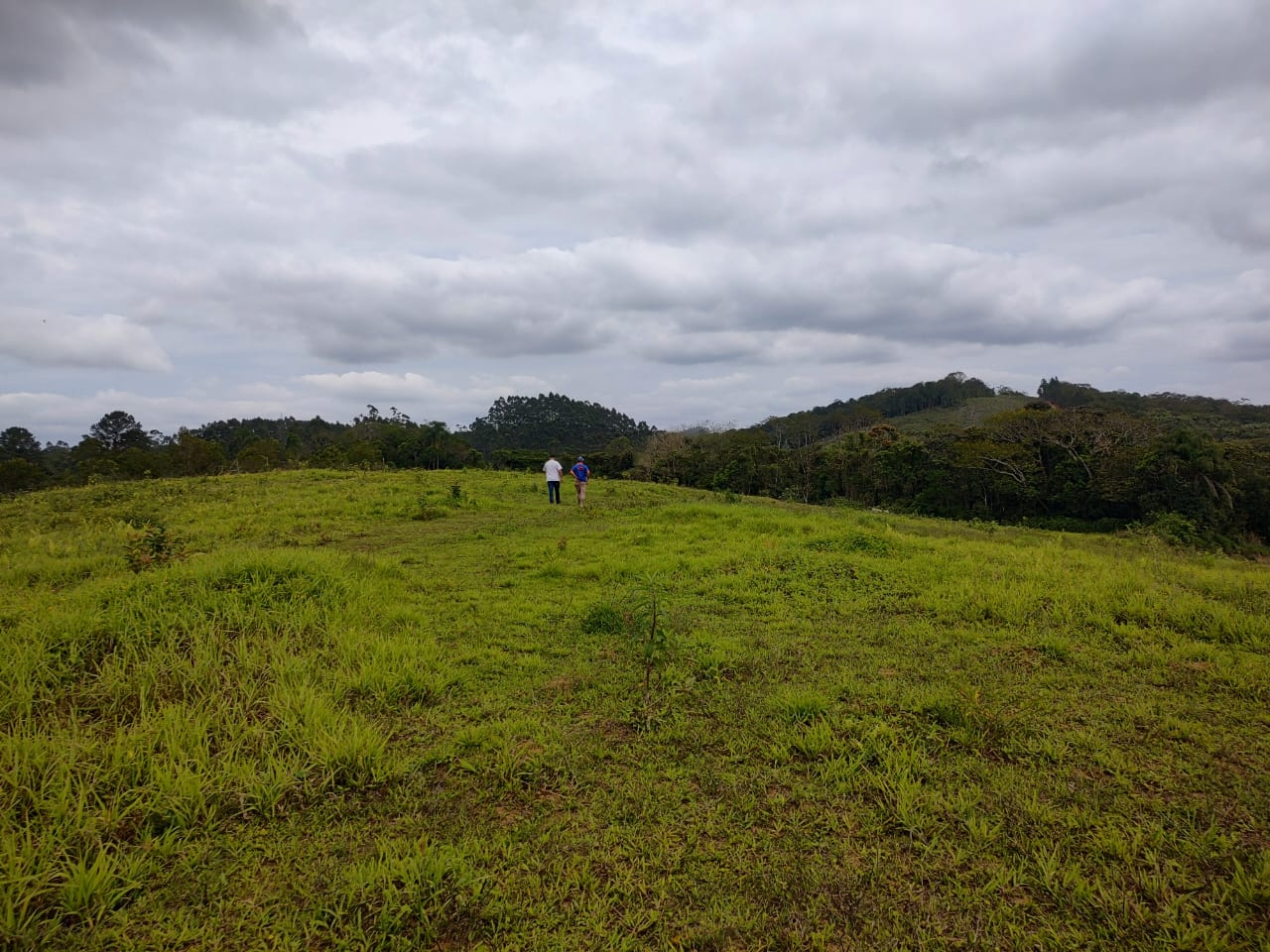 ÁREA DE TERRA EM ITINGADORES